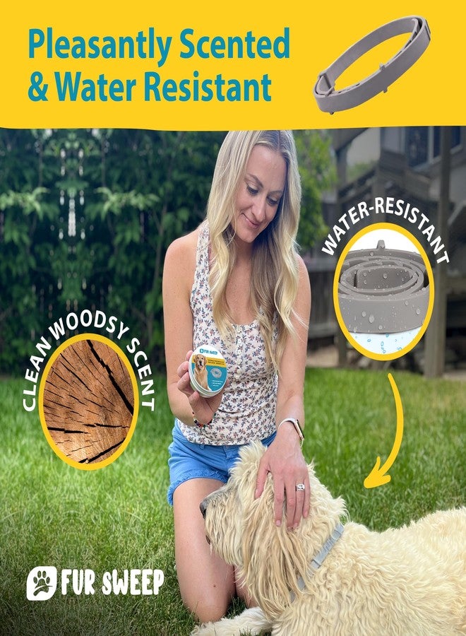 FREEZE2TRIM Fur Sweep Soft-Touch Adjustable Dog Collar – Lightweight Water-Resistant Eco Recycled TPE, Hypoallergenic Comfort, Trim-to-Fit 62 cm (24 in) Length for Small, Medium & Large Pets, Cat Collar Gray - Image 3